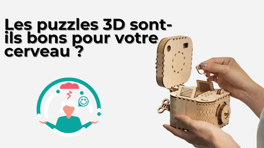 Les bienfaits des puzzles 3D